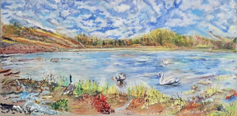 Autumn in The Lake District The lakes, The lake District, swans , wild birds Autumnal